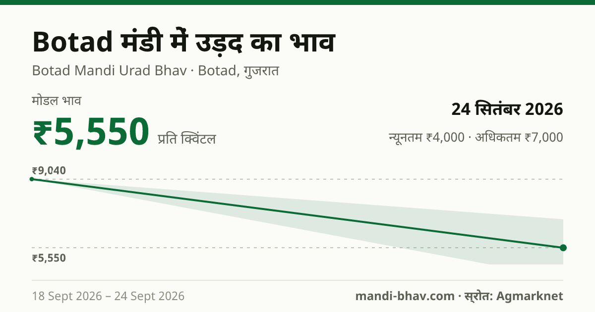 Botad मंडी में उड़द का भाव 24 सितंबर 2026: मोडल ₹5,550 प्रति क्विंटल, भाव के रुझान का चार्ट