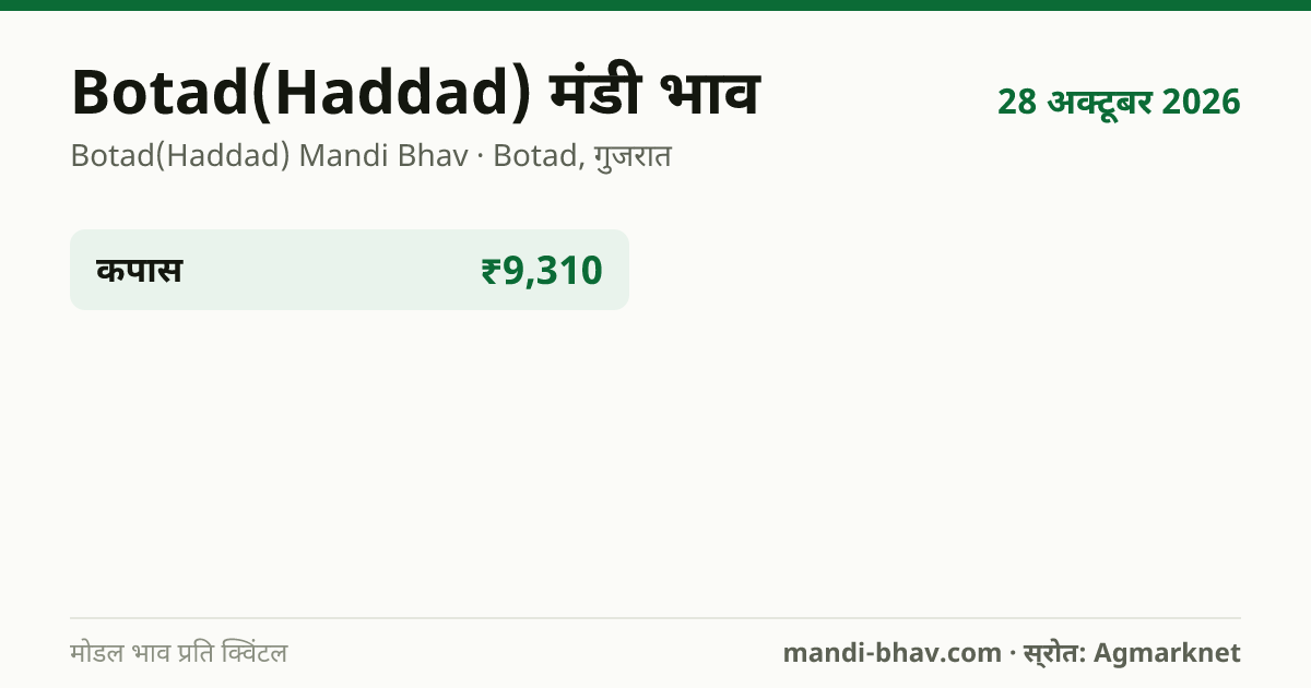 Botad(Haddad) मंडी भाव 28 अक्टूबर 2026: फसलवार मोडल रेट प्रति क्विंटल