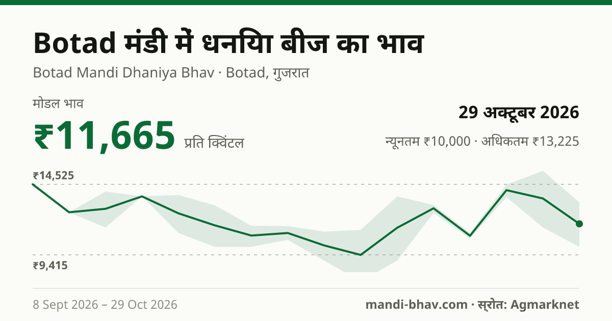 Botad मंडी में धनिया बीज का भाव 29 अक्टूबर 2026: मोडल ₹11,665 प्रति क्विंटल, भाव के रुझान का चार्ट