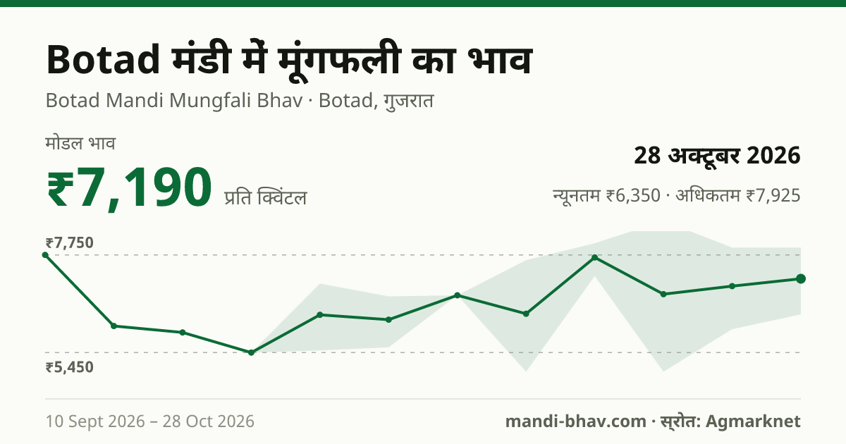 Botad मंडी में मूंगफली का भाव 28 अक्टूबर 2026: मोडल ₹7,190 प्रति क्विंटल, भाव के रुझान का चार्ट