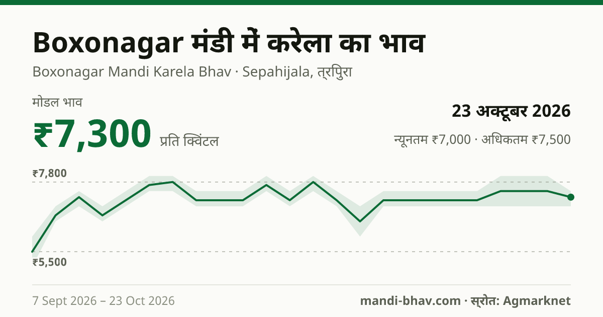 Boxonagar मंडी में करेला का भाव 23 अक्टूबर 2026: मोडल ₹7,300 प्रति क्विंटल, भाव के रुझान का चार्ट