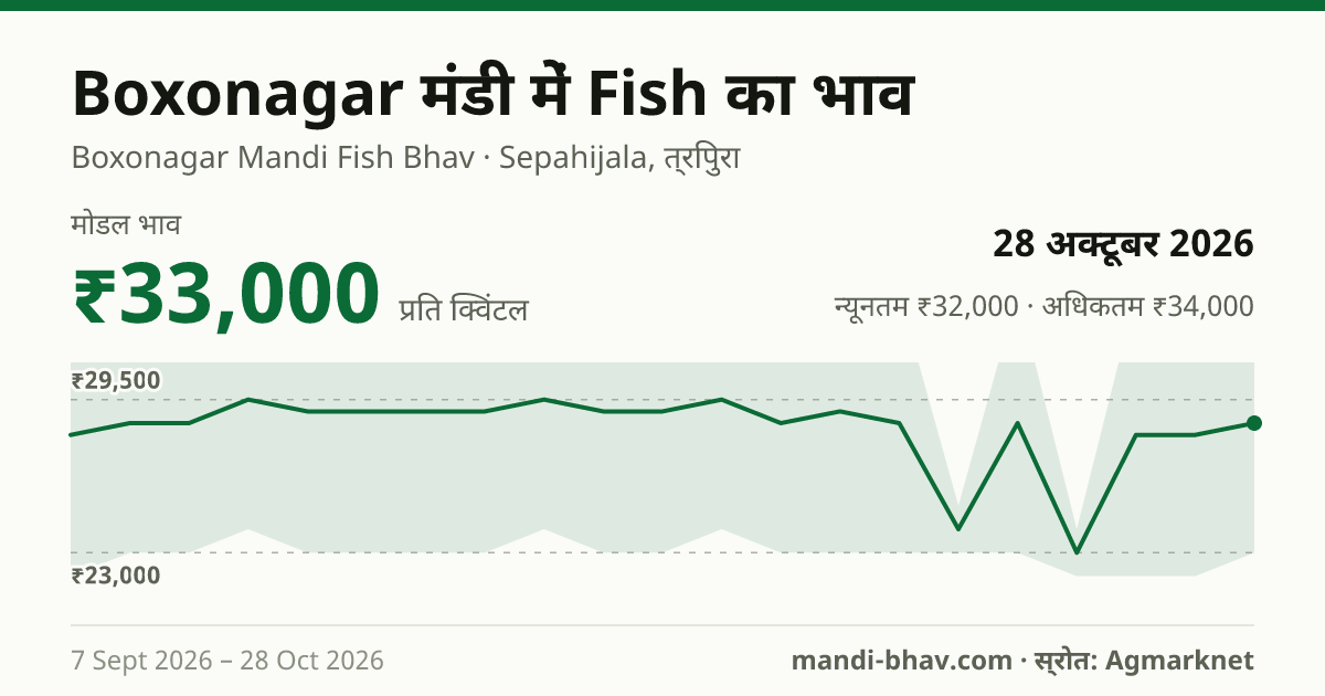 Boxonagar मंडी में Fish का भाव 28 अक्टूबर 2026: मोडल ₹33,000 प्रति क्विंटल, भाव के रुझान का चार्ट