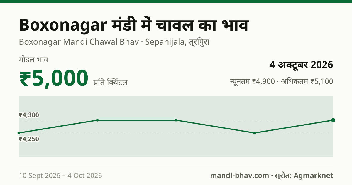 Boxonagar मंडी में चावल का भाव 4 अक्टूबर 2026: मोडल ₹5,000 प्रति क्विंटल, भाव के रुझान का चार्ट