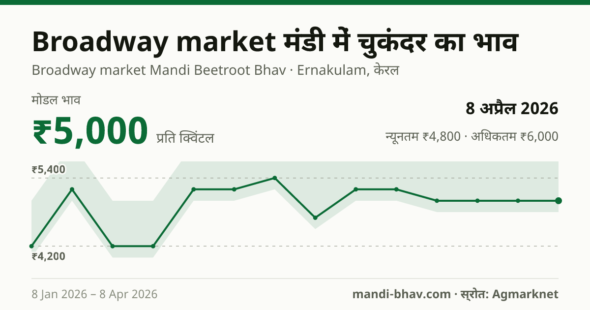 Broadway market मंडी में चुकंदर का भाव 8 अप्रैल 2026: मोडल ₹5,000 प्रति क्विंटल, भाव के रुझान का चार्ट