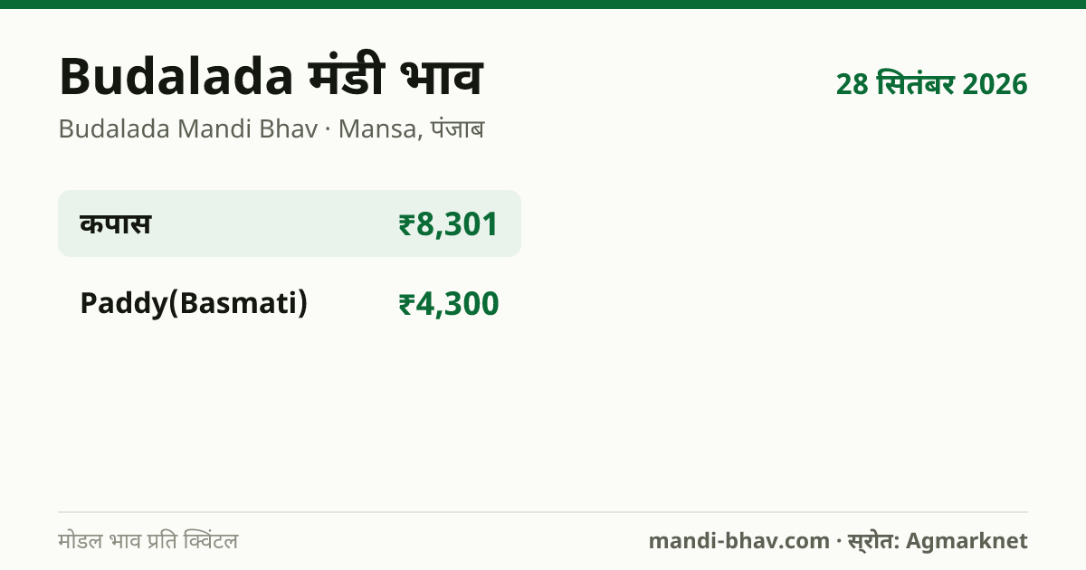 Budalada मंडी भाव 28 सितंबर 2026: फसलवार मोडल रेट प्रति क्विंटल