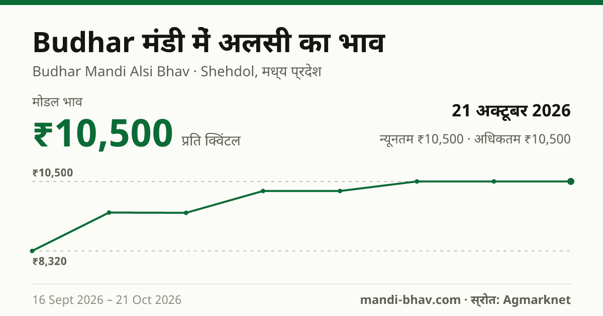 Budhar मंडी में अलसी का भाव 21 अक्टूबर 2026: मोडल ₹10,500 प्रति क्विंटल, भाव के रुझान का चार्ट