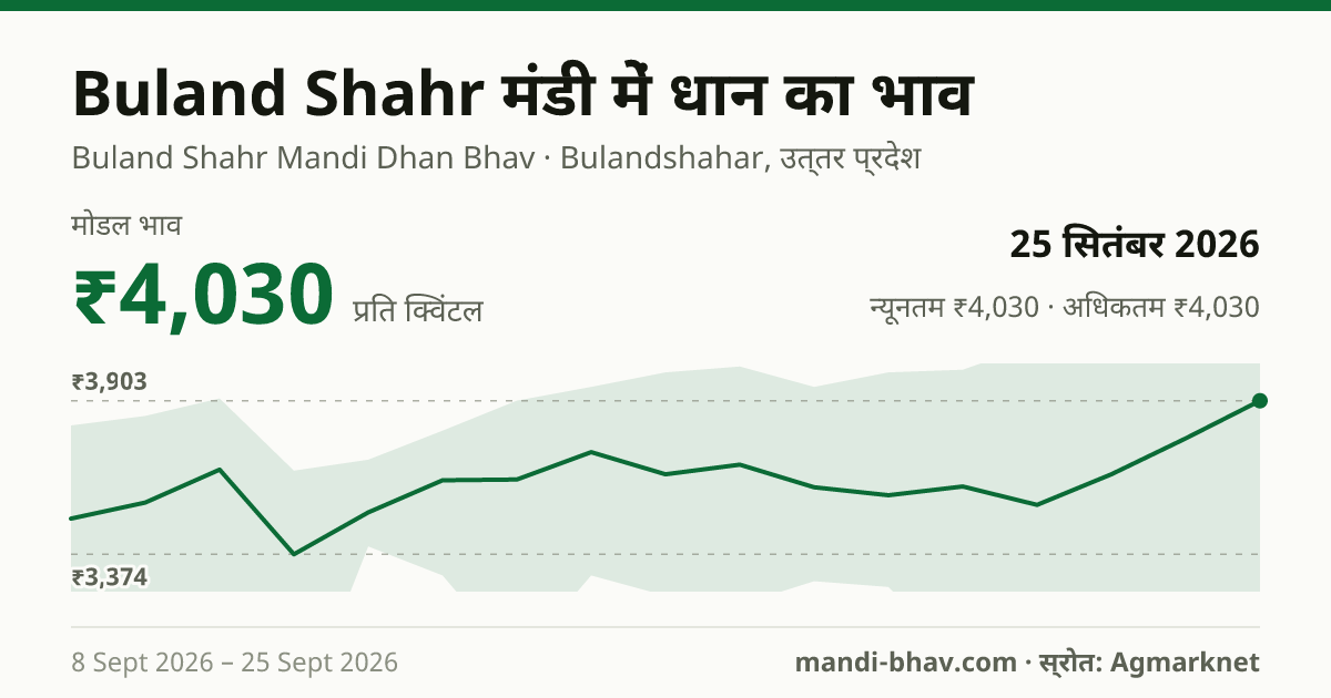 Buland Shahr मंडी में धान का भाव 25 सितंबर 2026: मोडल ₹4,030 प्रति क्विंटल, भाव के रुझान का चार्ट