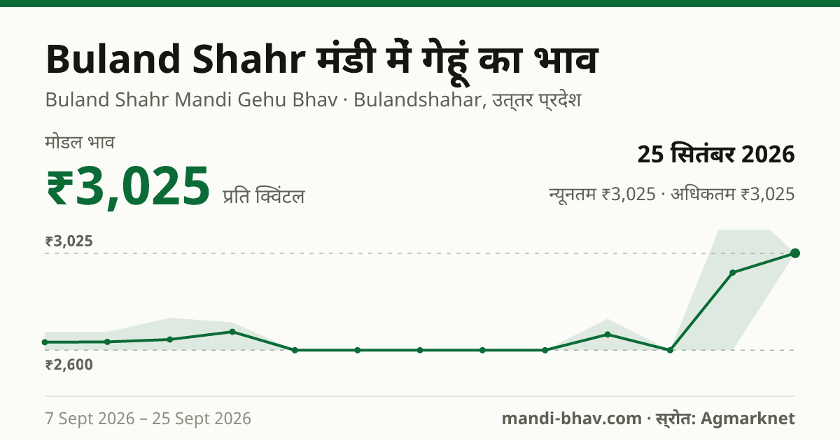 Buland Shahr मंडी में गेहूं का भाव 25 सितंबर 2026: मोडल ₹3,025 प्रति क्विंटल, भाव के रुझान का चार्ट