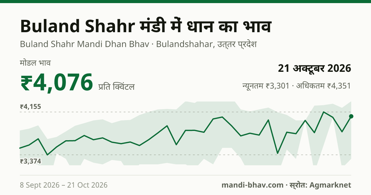 Buland Shahr मंडी में धान का भाव 21 अक्टूबर 2026: मोडल ₹4,076 प्रति क्विंटल, भाव के रुझान का चार्ट
