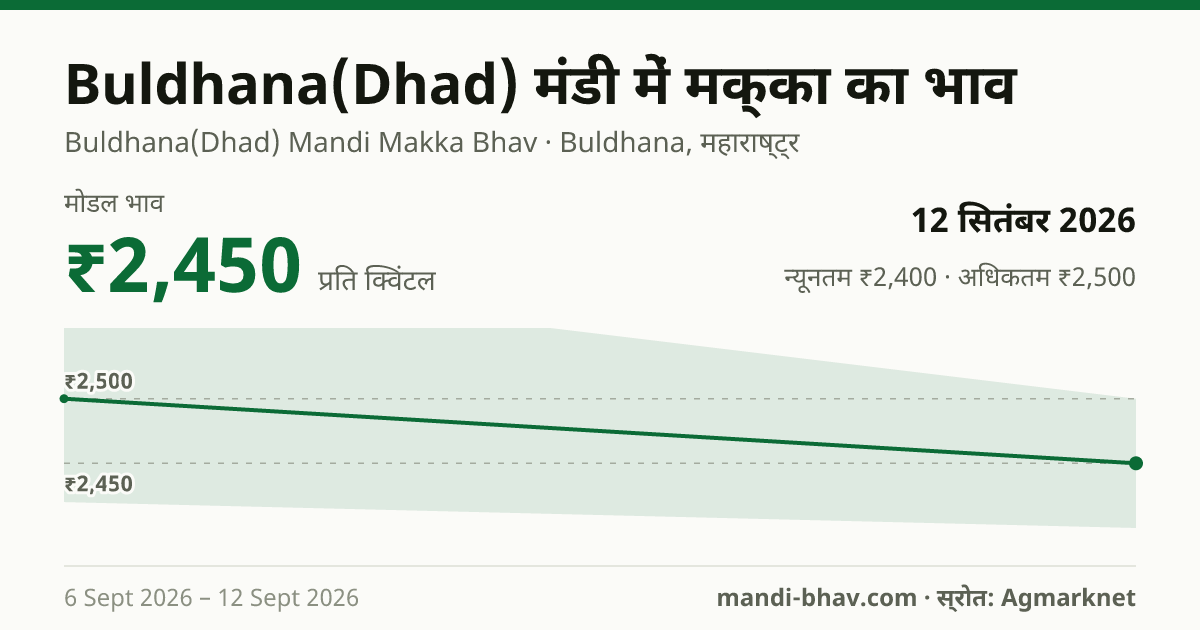 Buldhana(Dhad) मंडी में मक्का का भाव 12 सितंबर 2026: मोडल ₹2,450 प्रति क्विंटल, भाव के रुझान का चार्ट