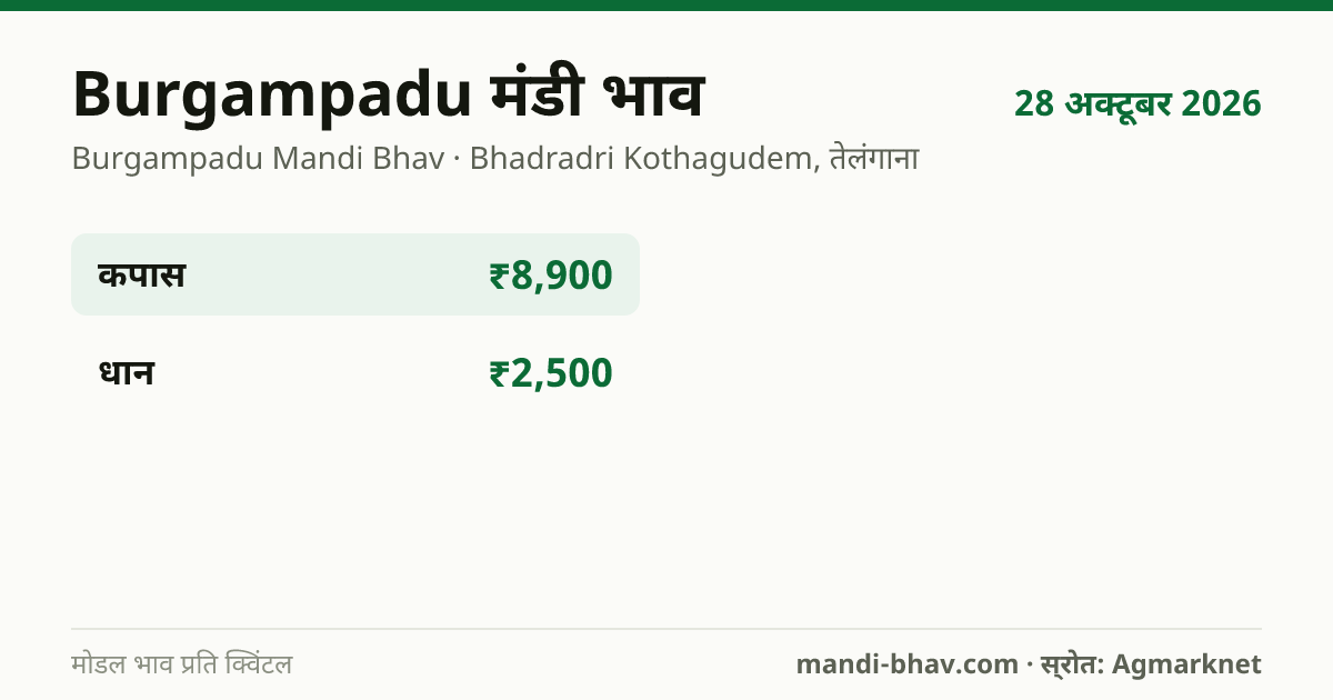 Burgampadu मंडी भाव 28 अक्टूबर 2026: फसलवार मोडल रेट प्रति क्विंटल