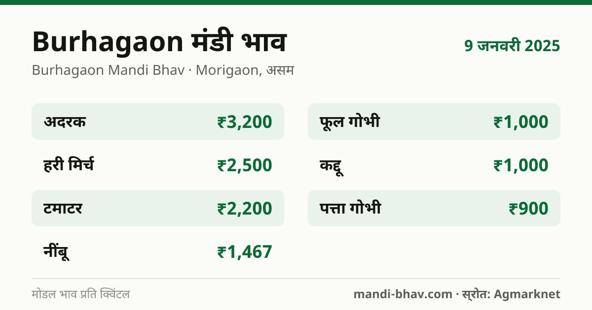 Burhagaon मंडी भाव 9 जनवरी 2025: फसलवार मोडल रेट प्रति क्विंटल