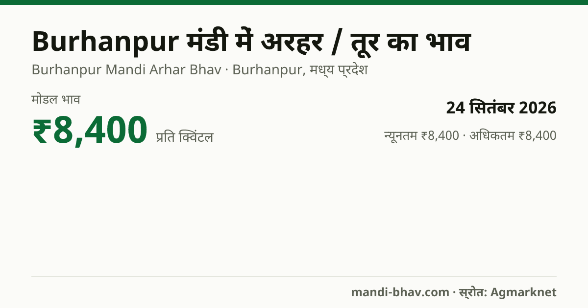 Burhanpur मंडी में अरहर / तूर का भाव 24 सितंबर 2026: मोडल ₹8,400 प्रति क्विंटल, भाव के रुझान का चार्ट