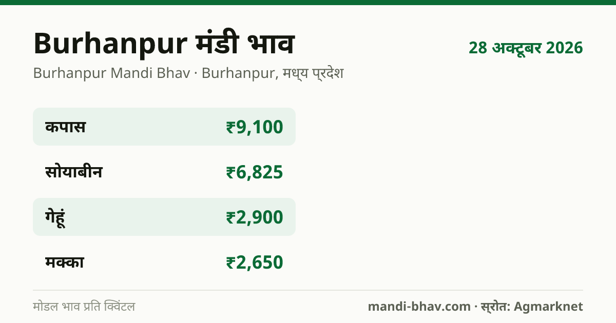 Burhanpur मंडी भाव 28 अक्टूबर 2026: फसलवार मोडल रेट प्रति क्विंटल