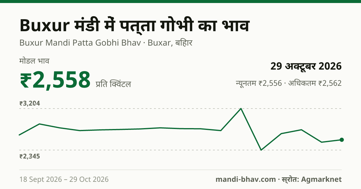 Buxur मंडी में पत्ता गोभी का भाव 29 अक्टूबर 2026: मोडल ₹2,558 प्रति क्विंटल, भाव के रुझान का चार्ट