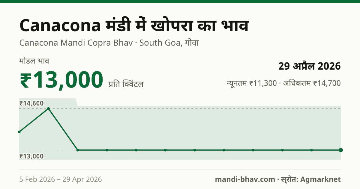 Canacona मंडी में खोपरा का भाव 29 अप्रैल 2026: मोडल ₹13,000 प्रति क्विंटल, भाव के रुझान का चार्ट