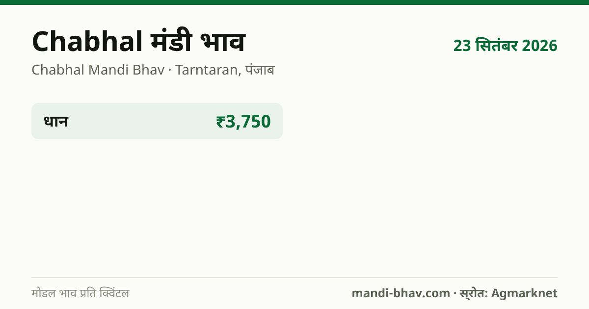 Chabhal मंडी भाव 23 सितंबर 2026: फसलवार मोडल रेट प्रति क्विंटल