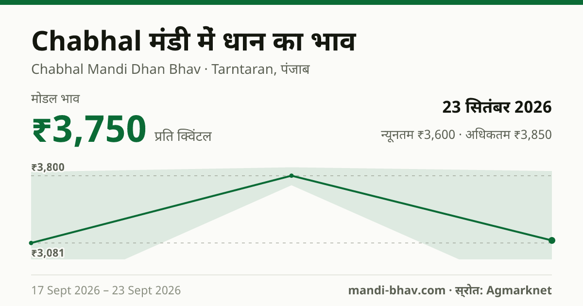 Chabhal मंडी में धान का भाव 23 सितंबर 2026: मोडल ₹3,750 प्रति क्विंटल, भाव के रुझान का चार्ट