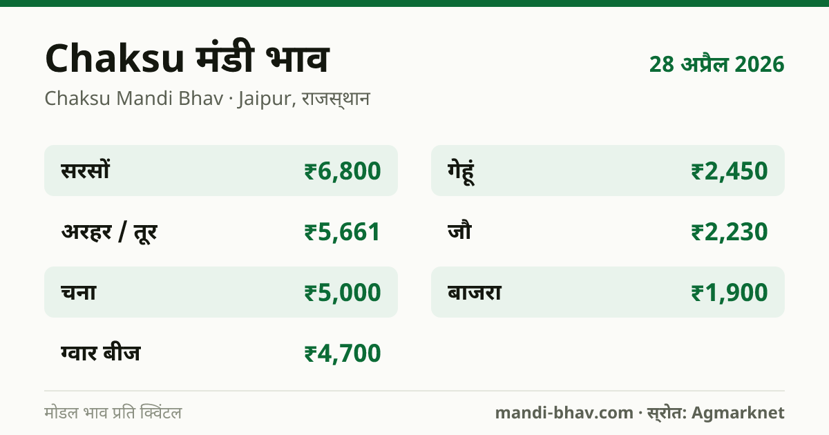Chaksu मंडी भाव 28 अप्रैल 2026: फसलवार मोडल रेट प्रति क्विंटल