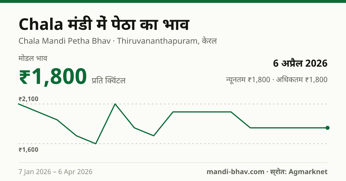 Chala मंडी में पेठा का भाव 6 अप्रैल 2026: मोडल ₹1,800 प्रति क्विंटल, भाव के रुझान का चार्ट