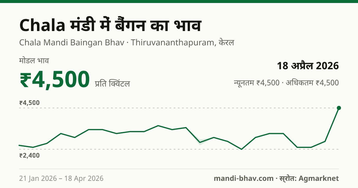 Chala मंडी में बैंगन का भाव 18 अप्रैल 2026: मोडल ₹4,500 प्रति क्विंटल, भाव के रुझान का चार्ट