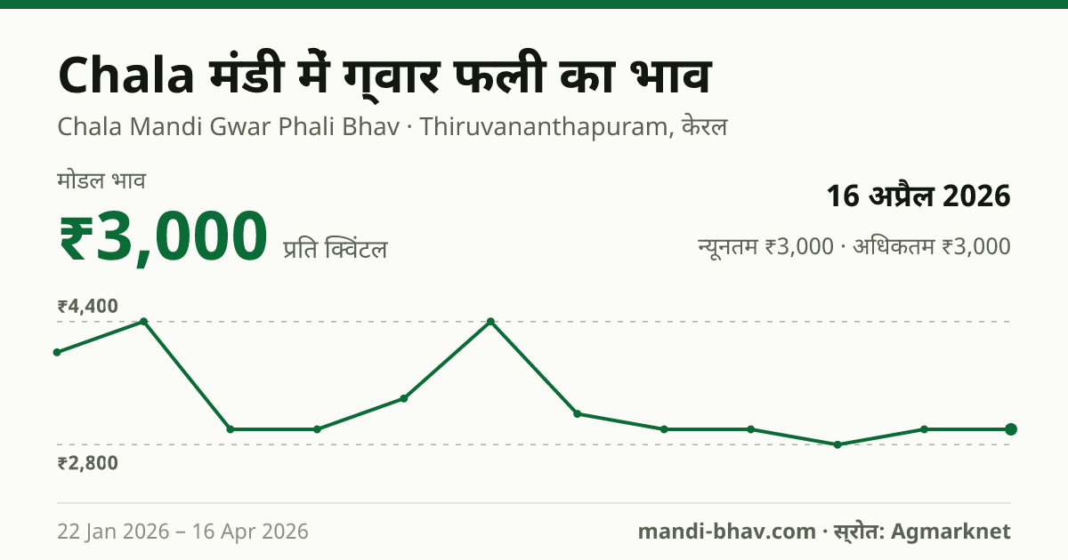 Chala मंडी में ग्वार फली का भाव 16 अप्रैल 2026: मोडल ₹3,000 प्रति क्विंटल, भाव के रुझान का चार्ट