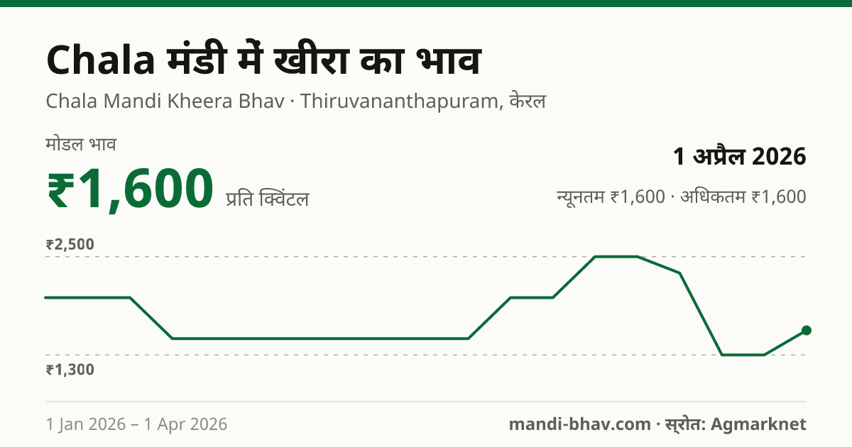 Chala मंडी में खीरा का भाव 1 अप्रैल 2026: मोडल ₹1,600 प्रति क्विंटल, भाव के रुझान का चार्ट