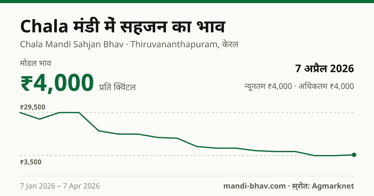 Chala मंडी में सहजन का भाव 7 अप्रैल 2026: मोडल ₹4,000 प्रति क्विंटल, भाव के रुझान का चार्ट