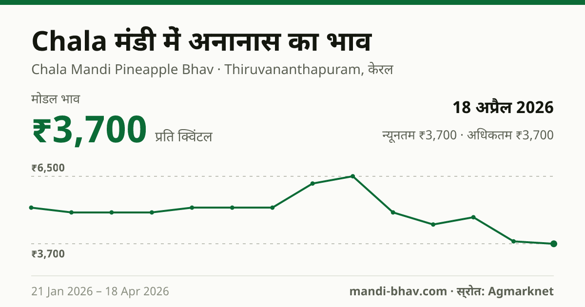 Chala मंडी में अनानास का भाव 18 अप्रैल 2026: मोडल ₹3,700 प्रति क्विंटल, भाव के रुझान का चार्ट