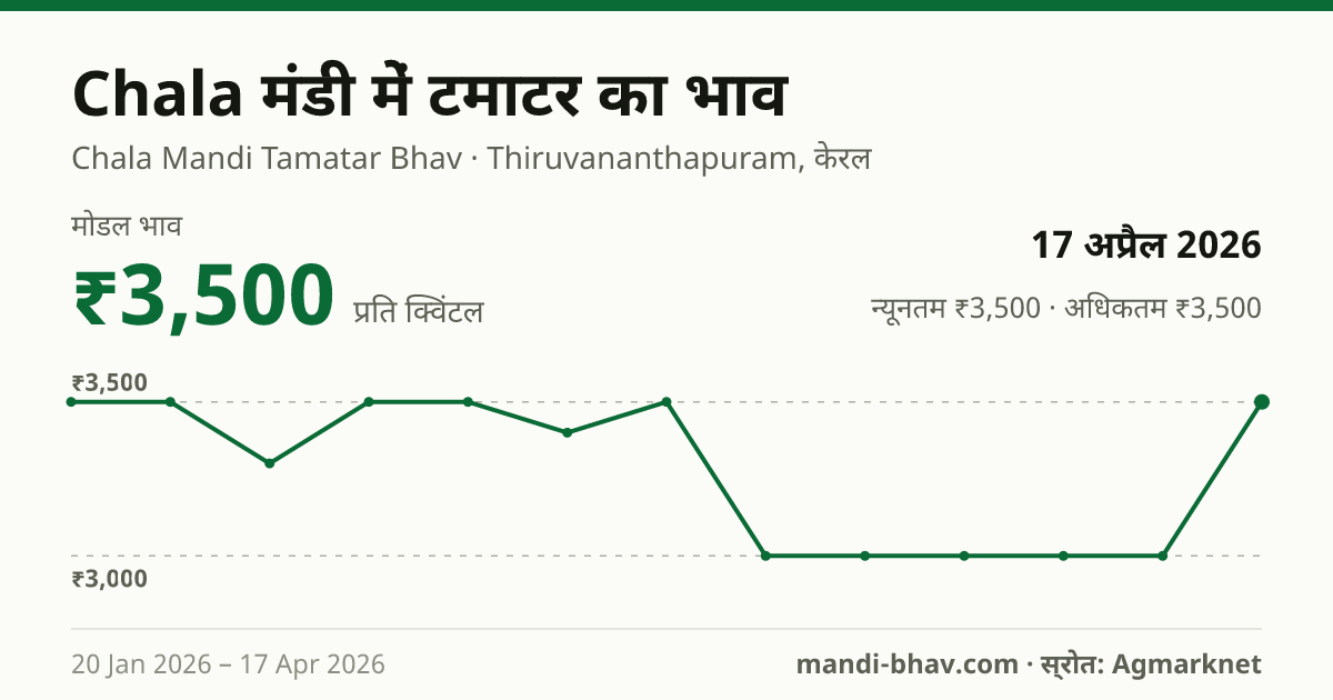 Chala मंडी में टमाटर का भाव 17 अप्रैल 2026: मोडल ₹3,500 प्रति क्विंटल, भाव के रुझान का चार्ट