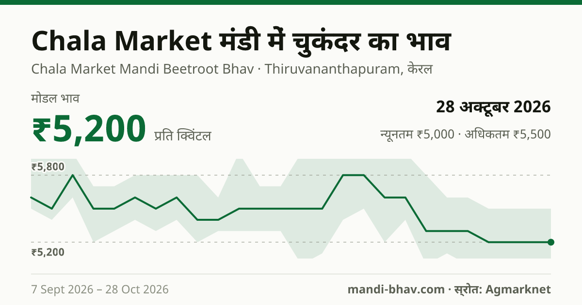 Chala Market मंडी में चुकंदर का भाव 28 अक्टूबर 2026: मोडल ₹5,200 प्रति क्विंटल, भाव के रुझान का चार्ट