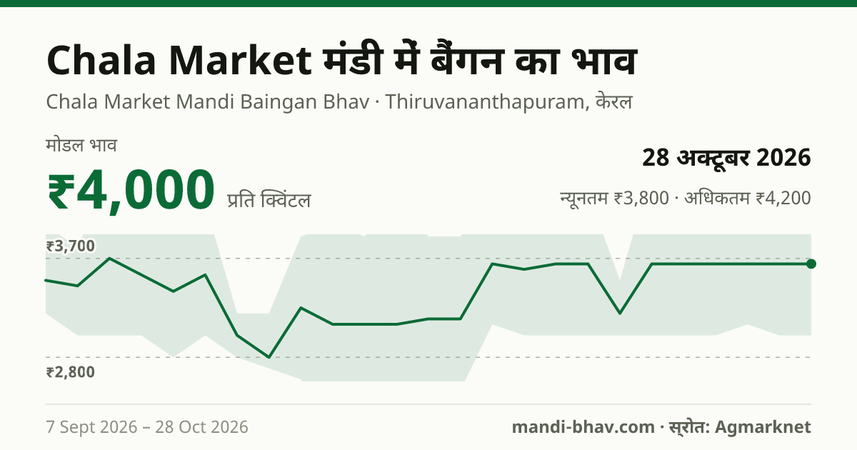 Chala Market मंडी में बैंगन का भाव 28 अक्टूबर 2026: मोडल ₹4,000 प्रति क्विंटल, भाव के रुझान का चार्ट