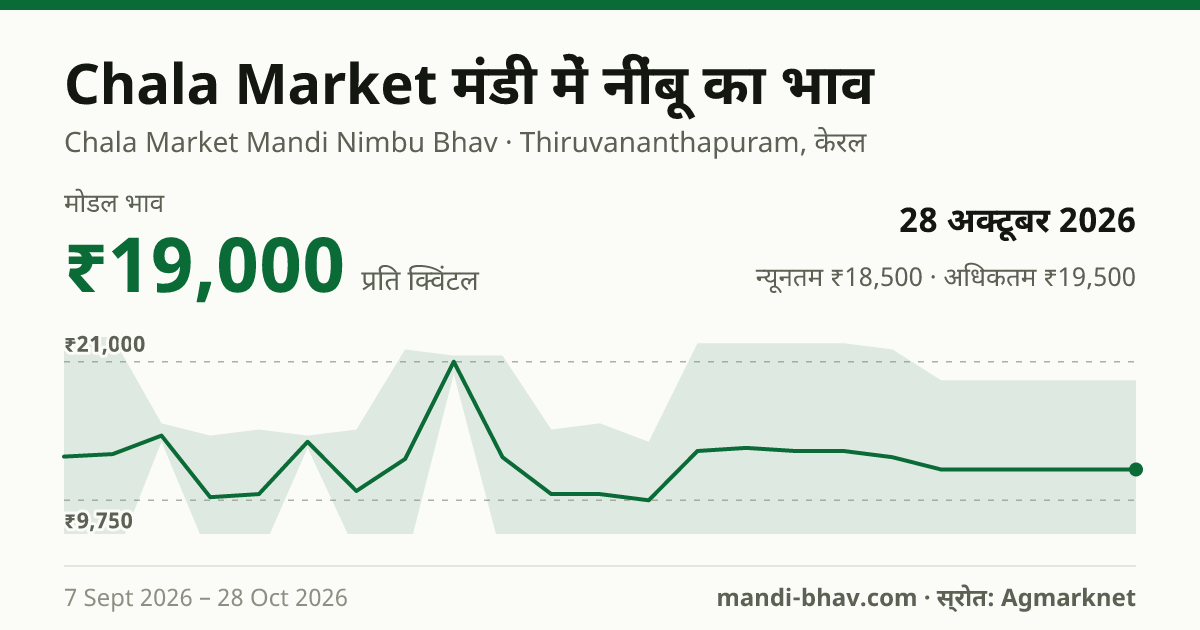 Chala Market मंडी में नींबू का भाव 28 अक्टूबर 2026: मोडल ₹19,000 प्रति क्विंटल, भाव के रुझान का चार्ट