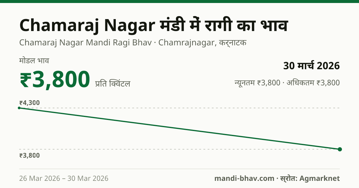 Chamaraj Nagar मंडी में रागी का भाव 30 मार्च 2026: मोडल ₹3,800 प्रति क्विंटल, भाव के रुझान का चार्ट