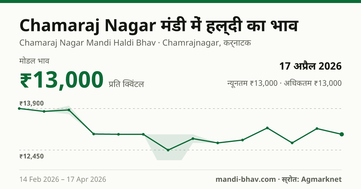 Chamaraj Nagar मंडी में हल्दी का भाव 17 अप्रैल 2026: मोडल ₹13,000 प्रति क्विंटल, भाव के रुझान का चार्ट