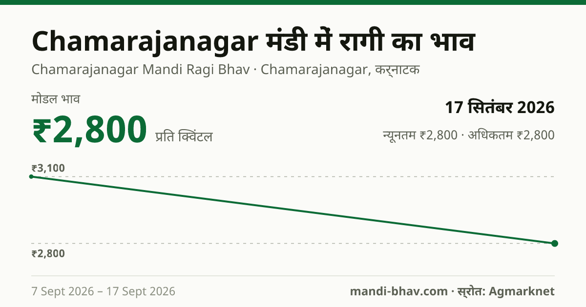 Chamarajanagar मंडी में रागी का भाव 17 सितंबर 2026: मोडल ₹2,800 प्रति क्विंटल, भाव के रुझान का चार्ट