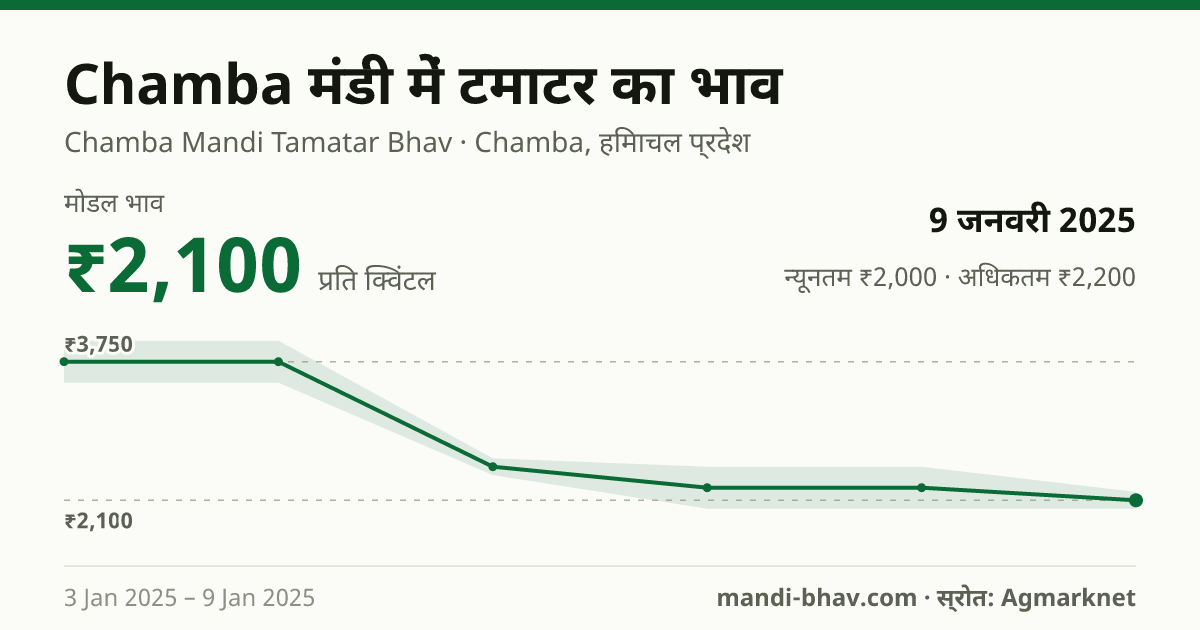 Chamba मंडी में टमाटर का भाव 9 जनवरी 2025: मोडल ₹2,100 प्रति क्विंटल, भाव के रुझान का चार्ट