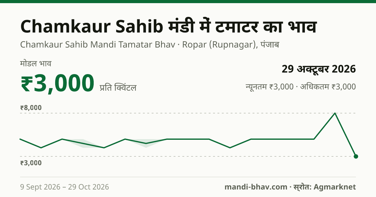 Chamkaur Sahib मंडी में टमाटर का भाव 29 अक्टूबर 2026: मोडल ₹3,000 प्रति क्विंटल, भाव के रुझान का चार्ट