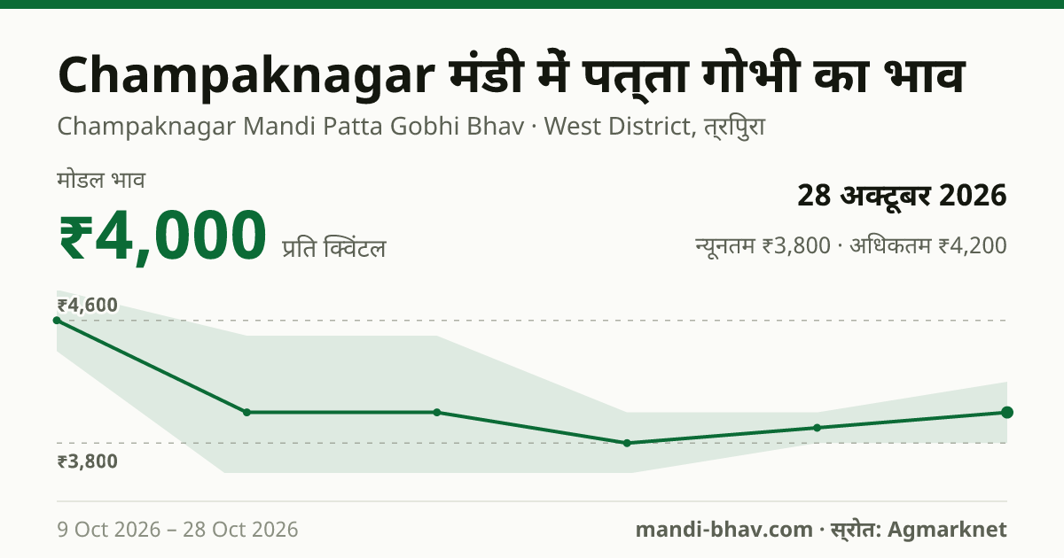 Champaknagar मंडी में पत्ता गोभी का भाव 28 अक्टूबर 2026: मोडल ₹4,000 प्रति क्विंटल, भाव के रुझान का चार्ट