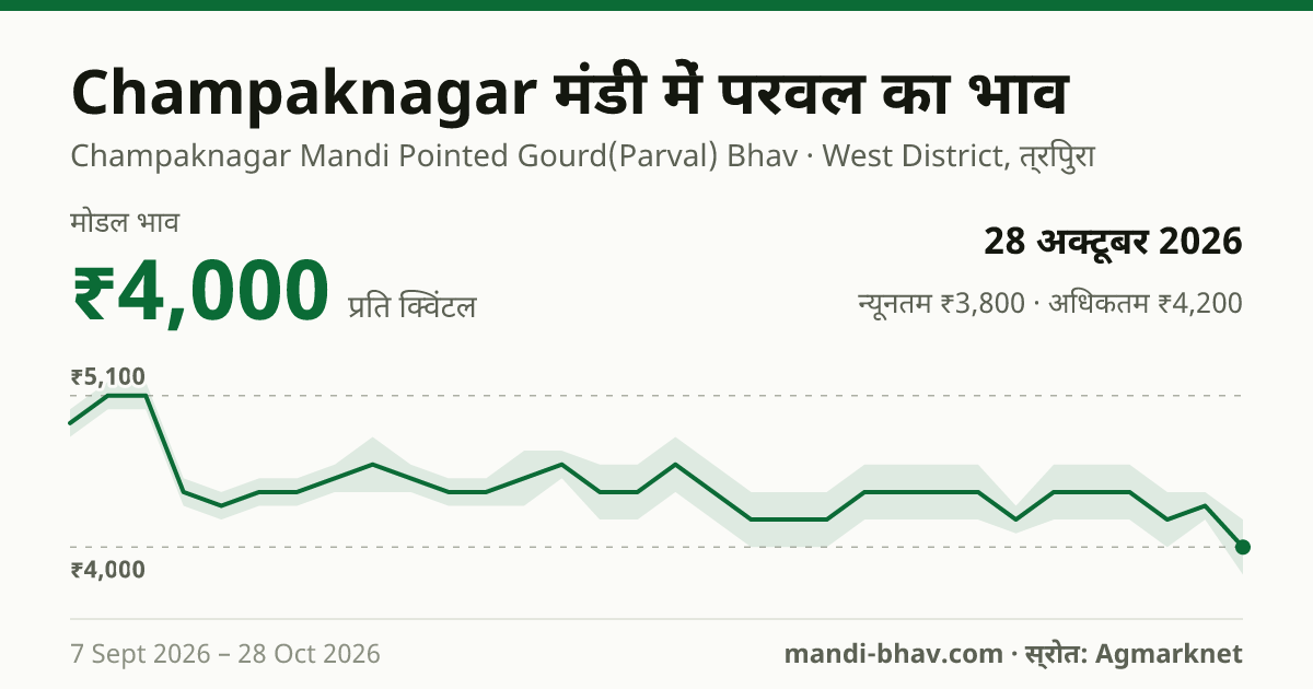 Champaknagar मंडी में परवल का भाव 28 अक्टूबर 2026: मोडल ₹4,000 प्रति क्विंटल, भाव के रुझान का चार्ट