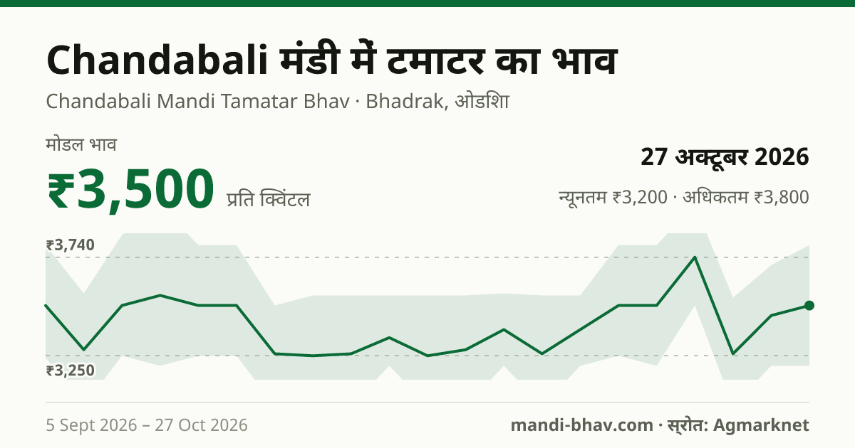 Chandabali मंडी में टमाटर का भाव 27 अक्टूबर 2026: मोडल ₹3,500 प्रति क्विंटल, भाव के रुझान का चार्ट