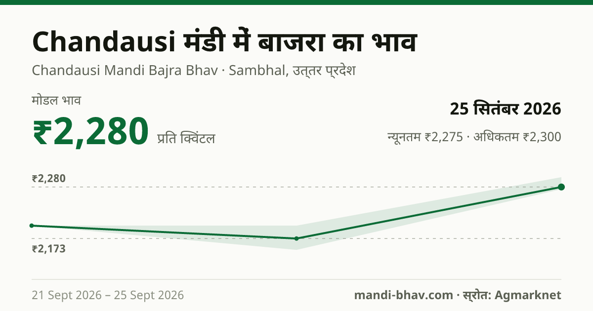 Chandausi मंडी में बाजरा का भाव 25 सितंबर 2026: मोडल ₹2,280 प्रति क्विंटल, भाव के रुझान का चार्ट