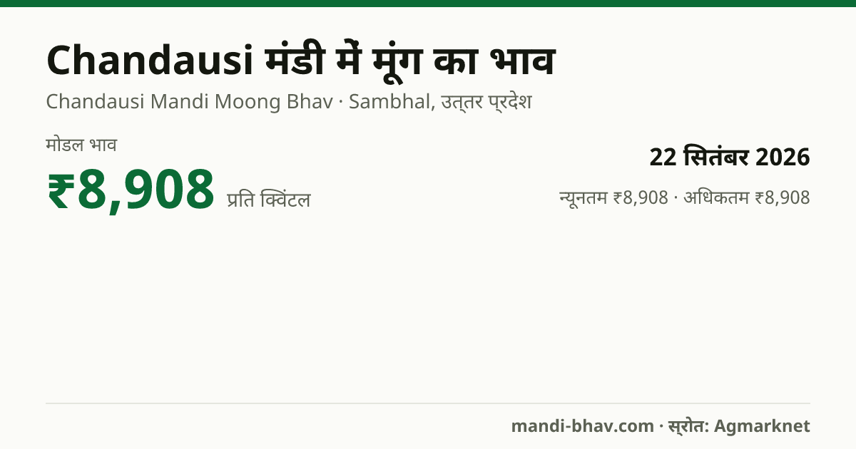 Chandausi मंडी में मूंग का भाव 22 सितंबर 2026: मोडल ₹8,908 प्रति क्विंटल, भाव के रुझान का चार्ट