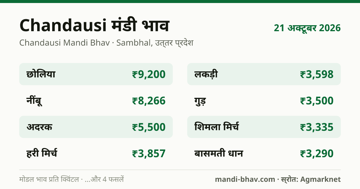 Chandausi मंडी भाव 21 अक्टूबर 2026: फसलवार मोडल रेट प्रति क्विंटल