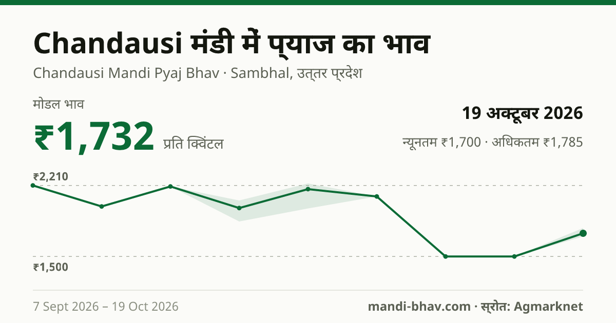 Chandausi मंडी में प्याज का भाव 19 अक्टूबर 2026: मोडल ₹1,732 प्रति क्विंटल, भाव के रुझान का चार्ट