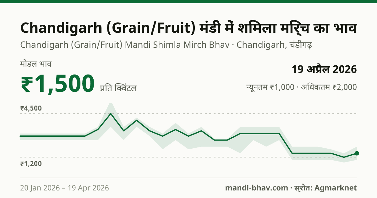 Chandigarh (Grain/Fruit) मंडी में शिमला मिर्च का भाव 19 अप्रैल 2026: मोडल ₹1,500 प्रति क्विंटल, भाव के रुझान का चार्ट