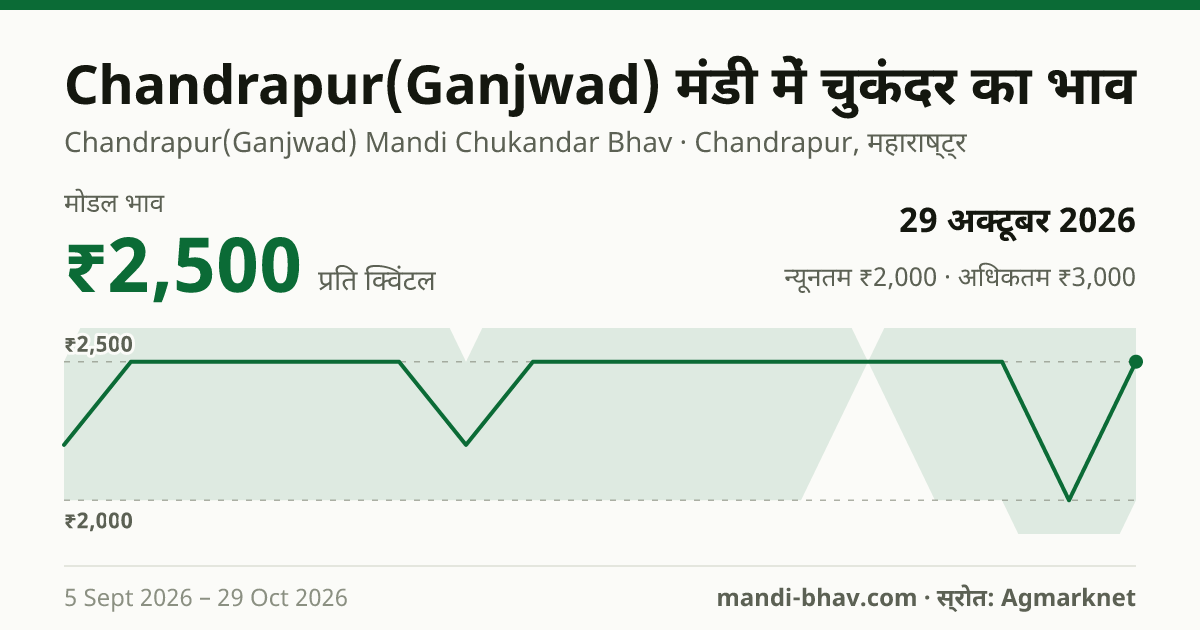 Chandrapur(Ganjwad) मंडी में चुकंदर का भाव 29 अक्टूबर 2026: मोडल ₹2,500 प्रति क्विंटल, भाव के रुझान का चार्ट