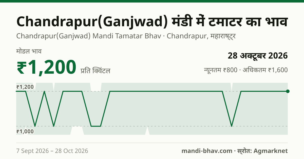 Chandrapur(Ganjwad) मंडी में टमाटर का भाव 28 अक्टूबर 2026: मोडल ₹1,200 प्रति क्विंटल, भाव के रुझान का चार्ट