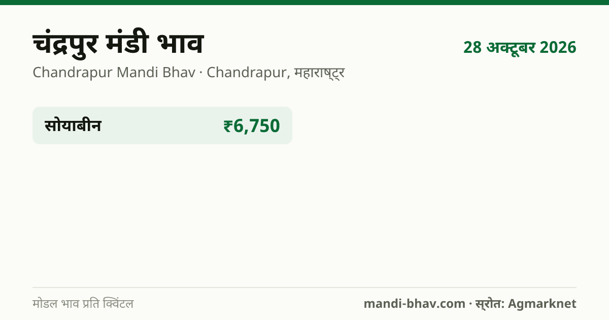 चंद्रपुर मंडी भाव 28 अक्टूबर 2026: फसलवार मोडल रेट प्रति क्विंटल