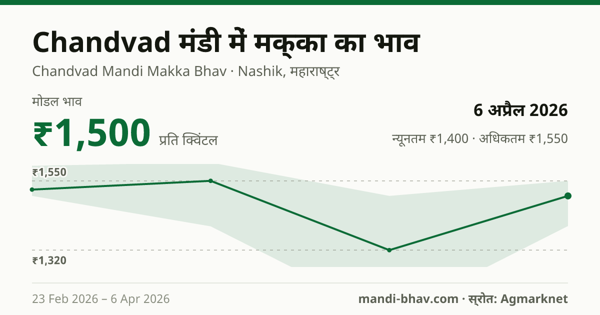 Chandvad मंडी में मक्का का भाव 6 अप्रैल 2026: मोडल ₹1,500 प्रति क्विंटल, भाव के रुझान का चार्ट